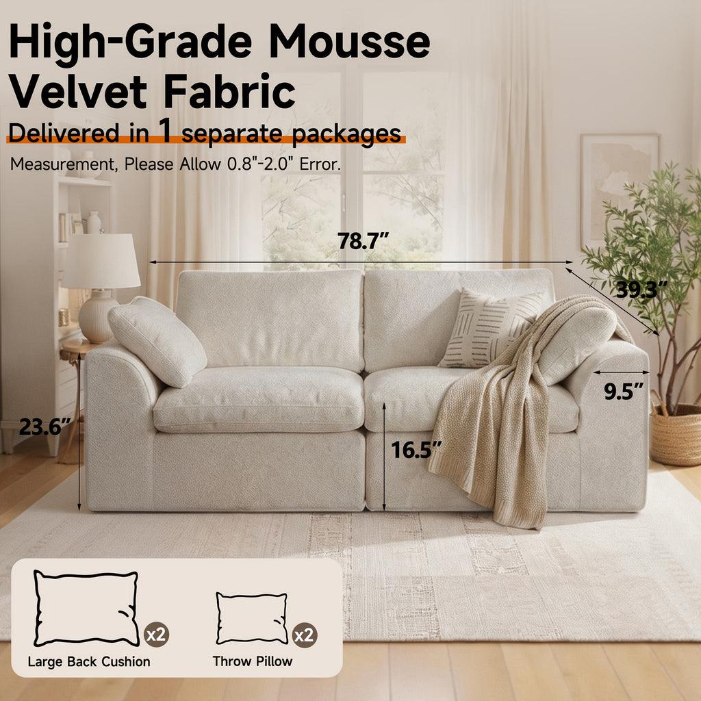 loveseat 2 seater cloud couch comfy deep seat modern small - Temu